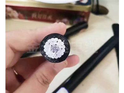 架空绝缘线 （6）