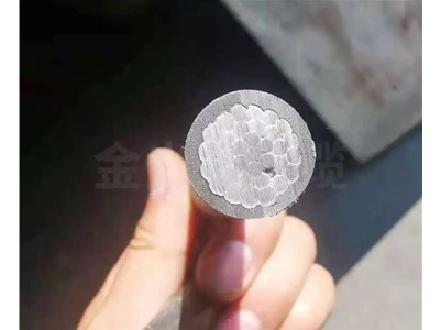 架空绝缘线 (2)