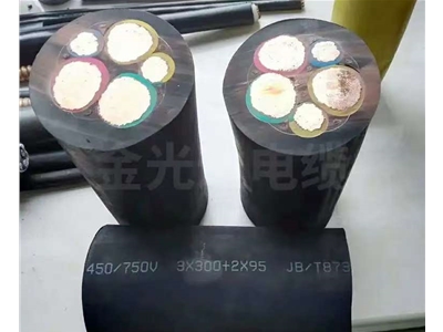 橡套电缆 (6)