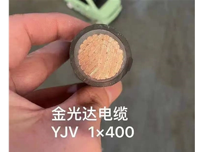 金光达电缆YJV-1X400