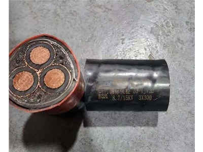 金光达电缆YJV22-3X300