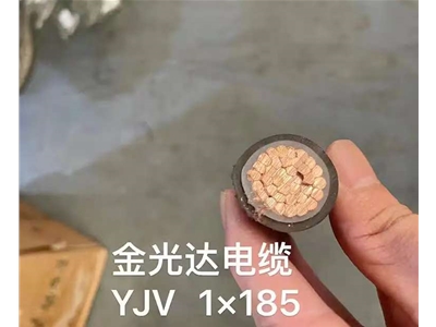 金光达电缆YJV-1x185