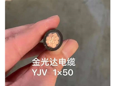 金光达电缆YJV-1X50