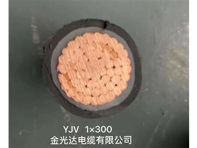金光达电缆YJV-1X300